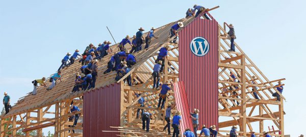 5 Ways To Tell If A Site Is Built In WordPress OSTraining