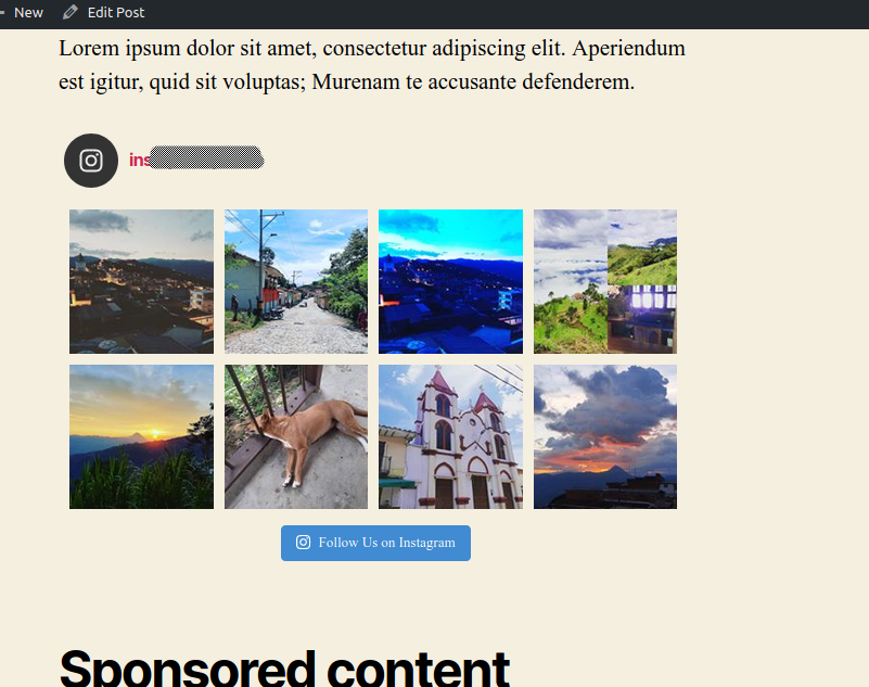 How to Add Your Instagram Feed to a WordPress Site